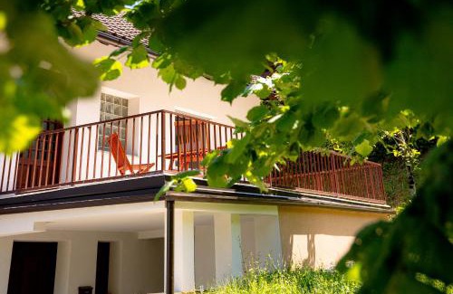 Cerklje ob Krki House | Elegant House in a Beautiful Village