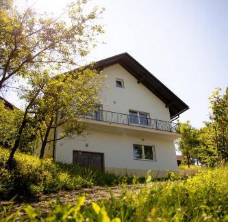 Cerklje ob Krki House | Elegant House in a Beautiful Village