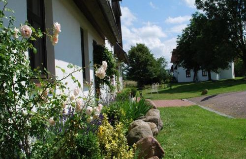 Dargun Apartment | Elegant Mansion in Barlin with Swimming Pool