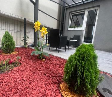 Uzice Apartment | ELENA LUX