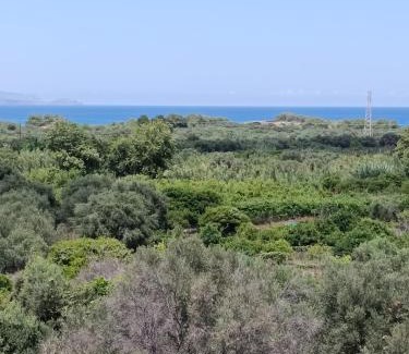 Kalo Chorio Apartment | Eleni's Apartments