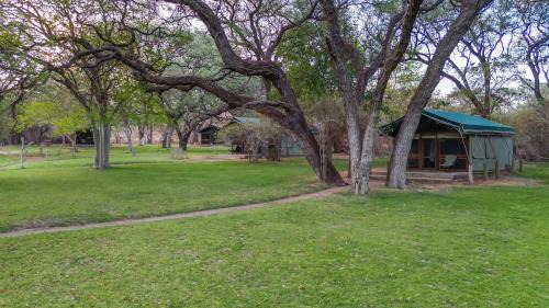 Chobe District Cabin | Elephant Valley Lodge