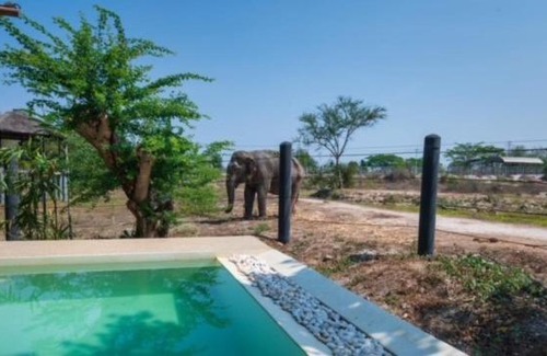 Tha Yang Other | Elephant View Camp