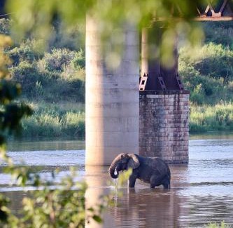 Nkomazi Hotel | Elephant Walk Tented Camp