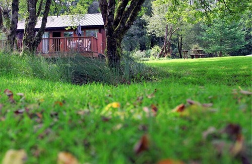 Taynuilt Cabin | Elevated Loch View Cabin with WiFi, Electric Hot Tub and Mountain Views