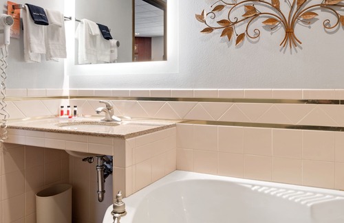 Rapid City Hotel | Elevation Inn & Suites, Trademark Collection by Wyndham