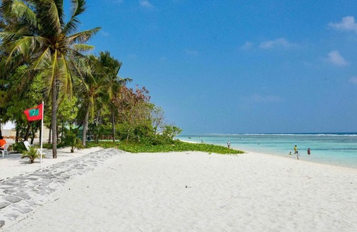 Hulhumale Hotel | Eleven Trees Maldives