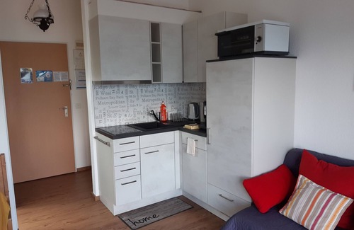 Emmetten Apartment | Elfe Apartments Studio for 2 adults, balcony with lake and mountain view