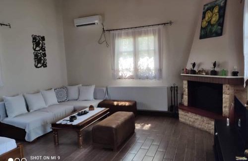 Votsi Apartment | Elia house 1 astoning sea view among the olive trees