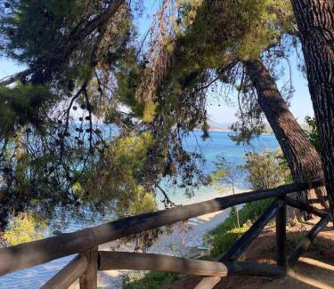 Elia Apartment | Elia Sithonia Apartment