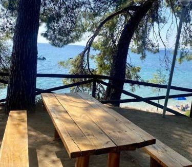 Elia Apartment | Elia Sithonia Apartment