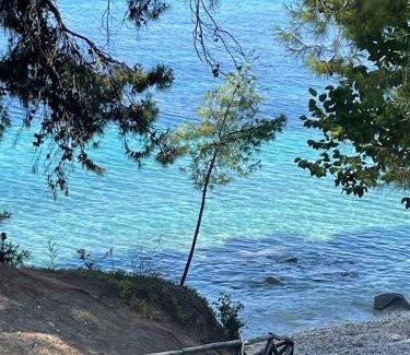Elia Apartment | Elia Sithonia Apartment