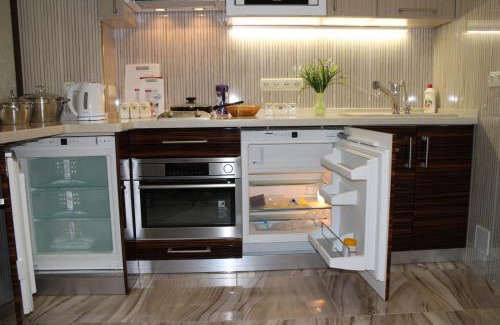 Jasienow Apartment | Elite Odessa Apartments