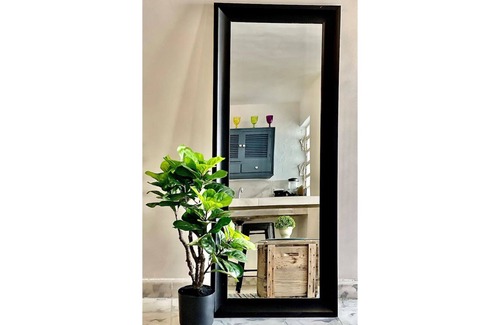 Zona Paseo Montejo Apartment | Elizabeth I Paseo Montejo Merida With Pool