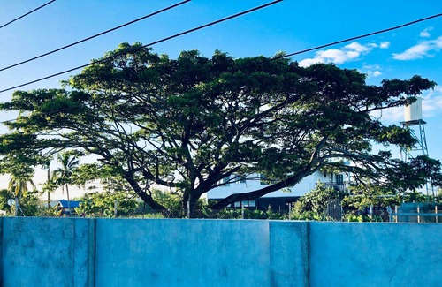 Nuku'alofa House | Elizabeth's Cozy Home
