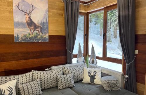 Pamporovo Apartment | Elizi1winter apartments Pamporovo