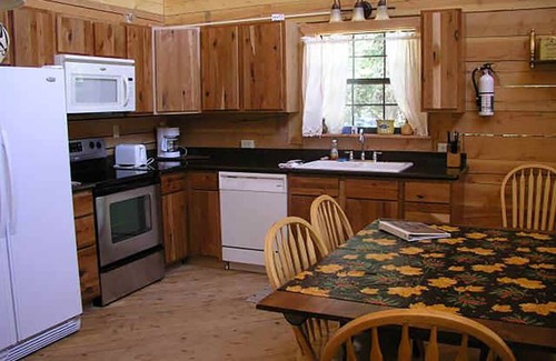 Lake City House | Elk Log Home 4 bed 2 bath W/D