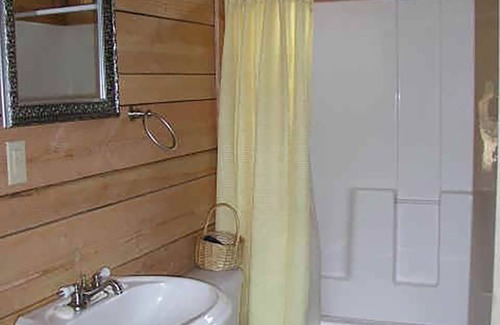 Lake City House | Elk Log Home 4 bed 2 bath W/D