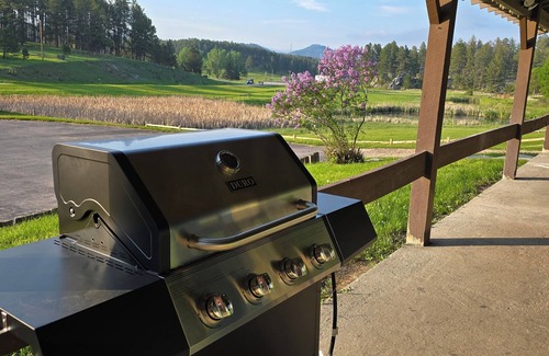 Custer Apartment | Elk Ridge Suite- Charming 2-bedroom suite just minutes from Custer with WiFi