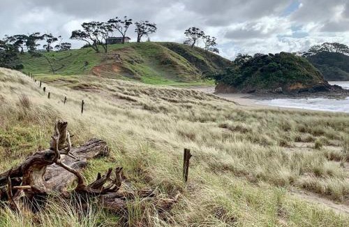 Rawhiti House | Elliot Bay - Hilltop Cottage
