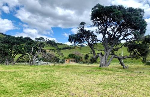 Rawhiti House | Elliot Bay - Shearer's Cabin