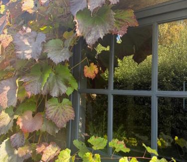Oatlands Bed & Breakfast | Elm Cottage Barn