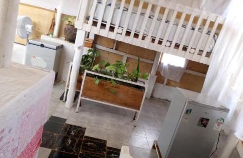 Ngelani Ski Chalet | Elmadel Coffee Gardens 4Bed Rustic Wooden House