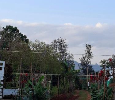 Ngelani Ski Chalet | Elmadel Coffee Gardens 4Bed Rustic Wooden House