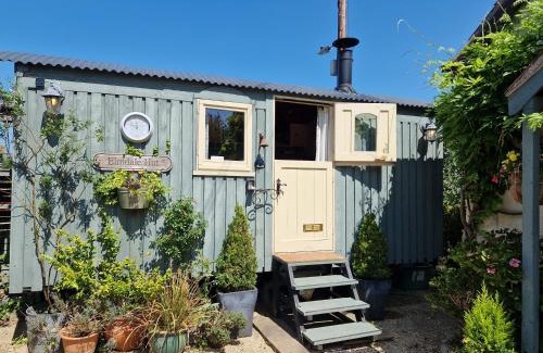 Claverham Apartment | Elmdale Hut - Shepherds Hut