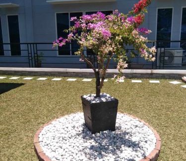 Panabo City House | Elpo's House