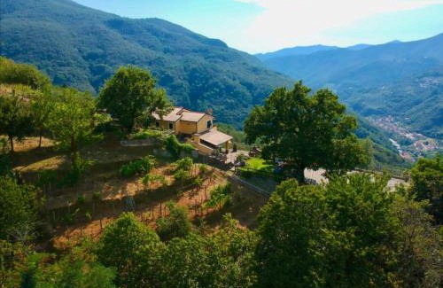 Mezzanego Bed & Breakfast | Elsa House