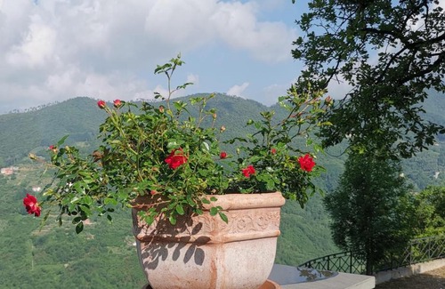 Mezzanego Bed & Breakfast | Elsa House