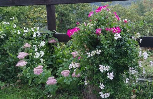 Mezzanego Bed & Breakfast | Elsa House