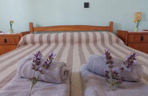 San Clemente Hotel | Eluney Hotel