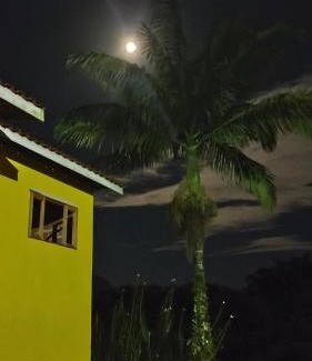 Ubatuba House | Em Harmonia com a Natureza