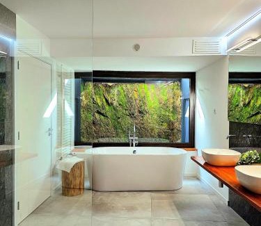 Gois Villa | Em Xisto - Casas de Montanha - Casa T1