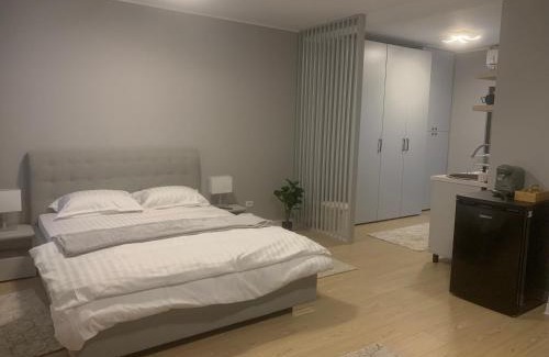 Tirgu Jiu Apartment | EM04- Studio premium