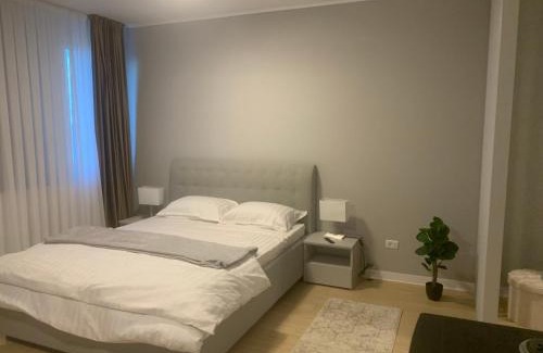 Tirgu Jiu Apartment | EM04- Studio premium