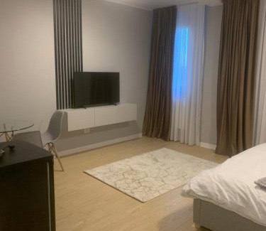 Tirgu Jiu Apartment | EM04- Studio premium