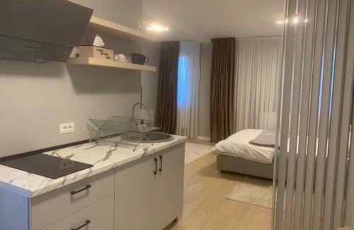 Tirgu Jiu Apartment | EM05- Studio Premium