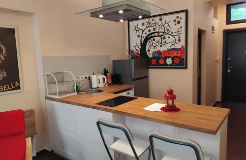 Oborishte Apartment | Embassy Apartment