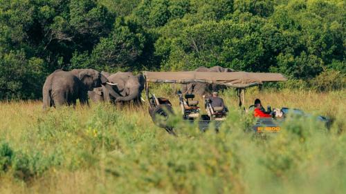 Maasai Mara Cabin | Emboo River Camp