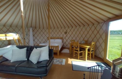 Carmarthen Other | Embrace the Space