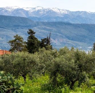 Pitharion Villa | Emma Hills Villa