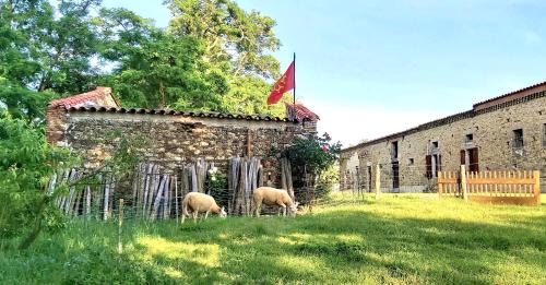 Calmont House | En Pascot - gîte 190 m2 - 3 chambres - 6 pers - 3 épis et 3 étoiles - à 10 mn de Villefranche et Nailloux