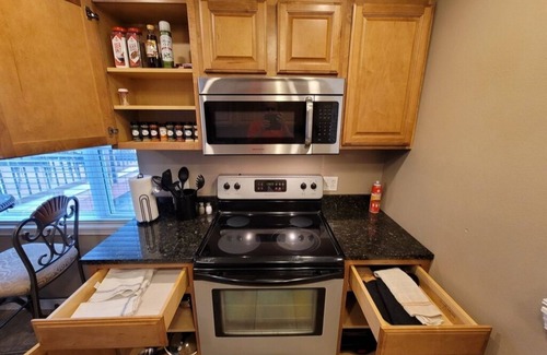 Cape Girardeau Apartment | EN11: Downtown Penthouse with roof deck! AMAZING VIEW! - 5 mins away downtown