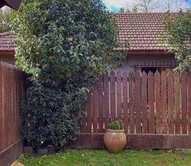 Chascomus House | Encantadora y espaciosa casa a dos cuadras de la Laguna, con pileta y parque