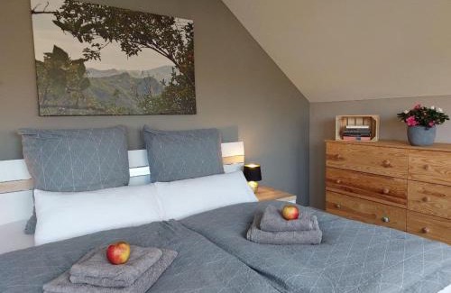 Grube Apartment | ENCANTO Apartment