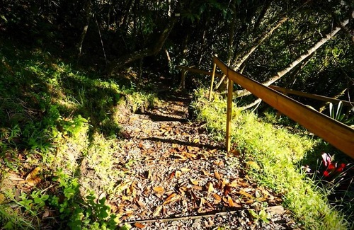 Guarne Other | ENCANTO Minicasitas en medio de la naturaleza