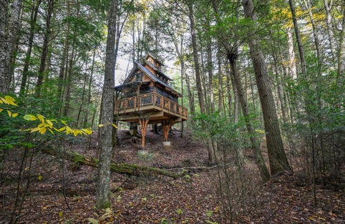 Coffeyville Other | Enchanted Evergreen